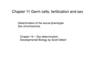 Chapter 11 Germ cells, fertilization and sex