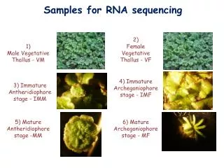Samples for RNA sequencing