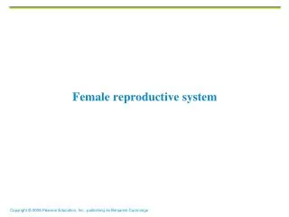 Female reproductive syste m