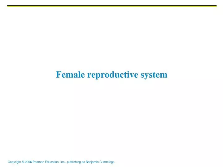 female reproductive syste m