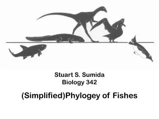 Stuart S. Sumida Biology 342 ( Simplified) Phylogey of Fishes