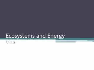Ecosystems and Energy