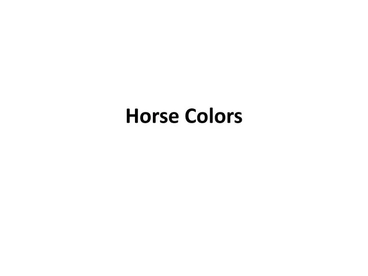horse colors