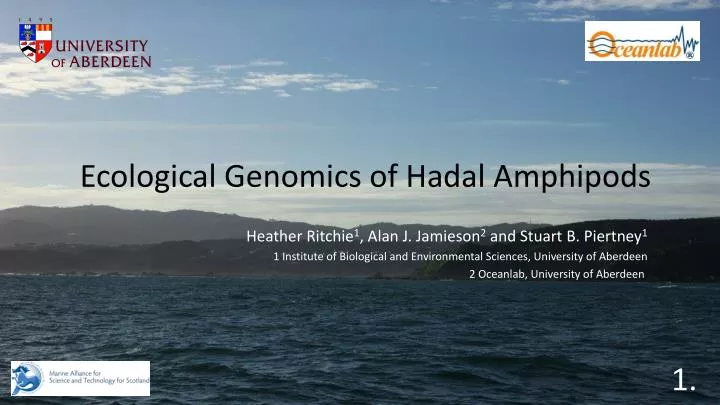 ecological genomics of hadal amphipods