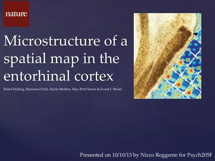 microstructure of a spatial map in the entorhinal cortex