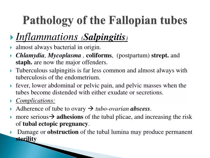 pathology of the fallopian tubes