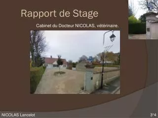 rapport de stage