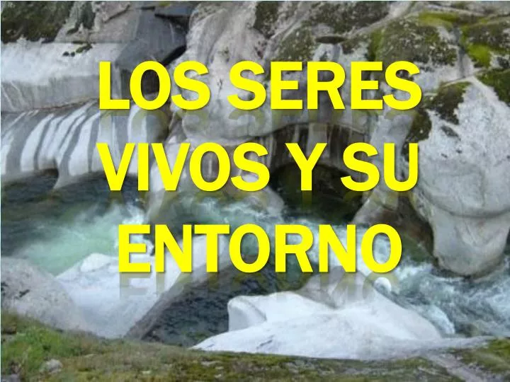 los seres vivos y su entorno