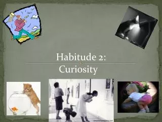 Habitude 2: