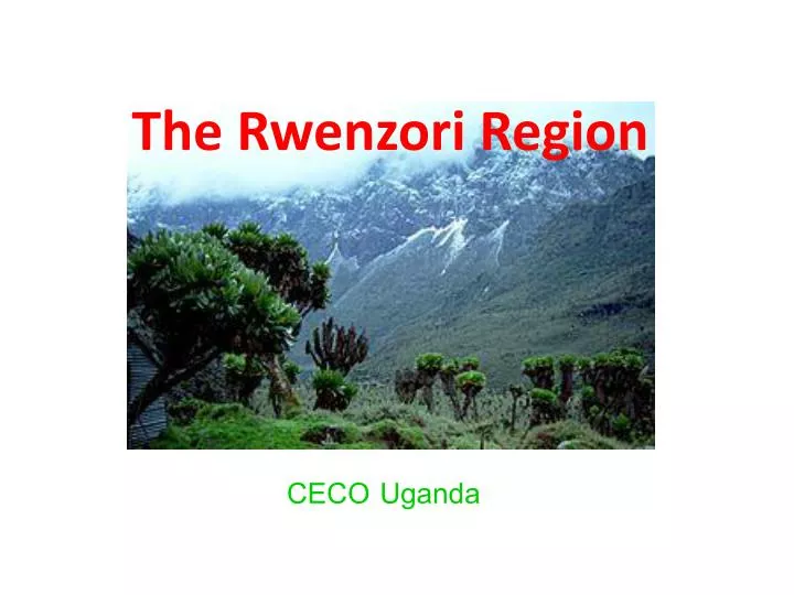 the rwenzori region