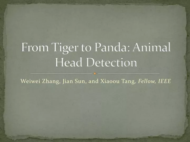 from tiger to panda animal head detection