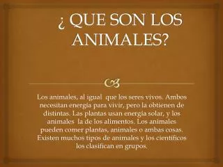 que son los animales