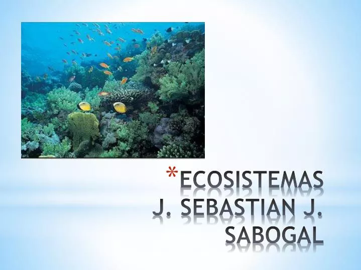 ecosistemas j sebastian j sabogal