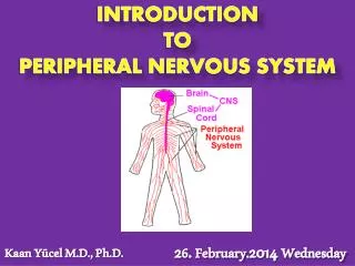 INTRODUCTION TO PERIPHERAL NERVOUS SYSTEM