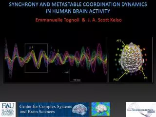Synchrony and metastable coordination dynamics in human brain activity