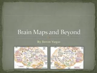Brain Maps and Beyond