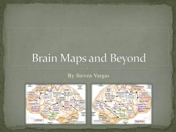 brain maps and beyond