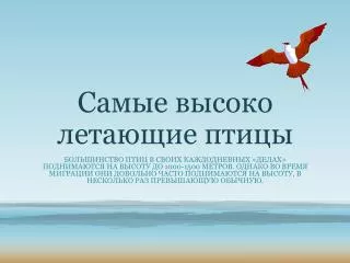 Самые высоко летающие птицы
