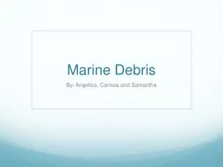 Marine Debris