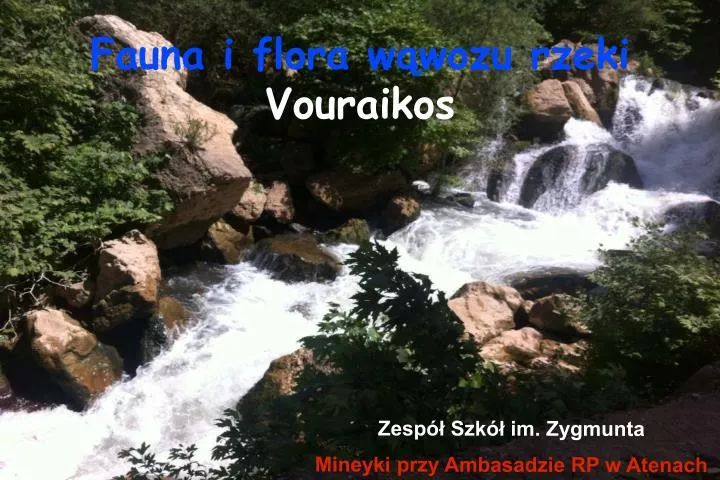 fauna i flora w wozu rzeki vouraikos