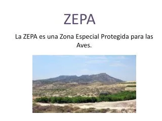 ZEPA