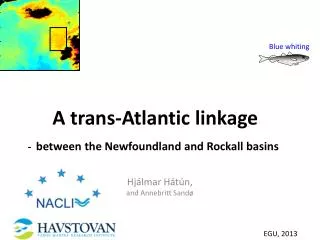 A trans-Atlantic linkage - between the Newfoundland and Rockall basins