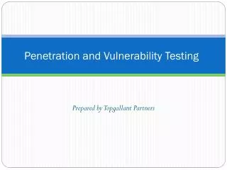 Penetration and Vulnerability Testing