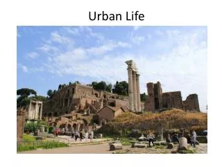Urban Life