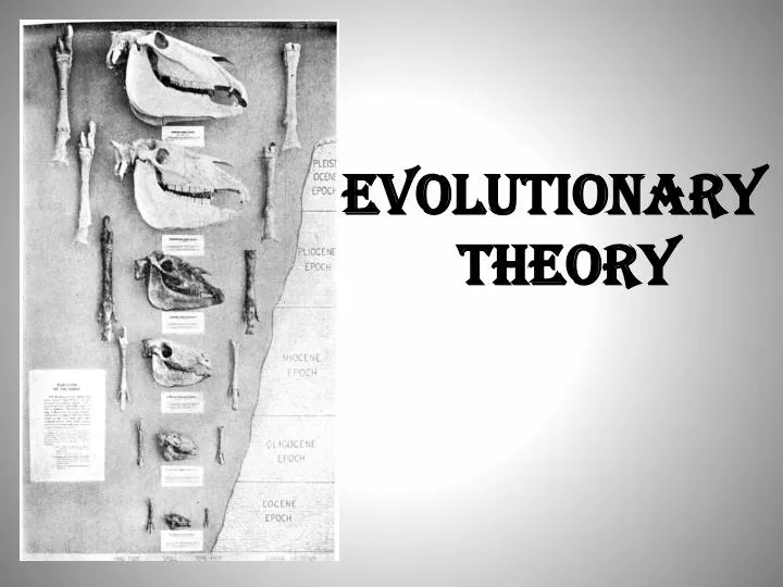 evolutionary theory