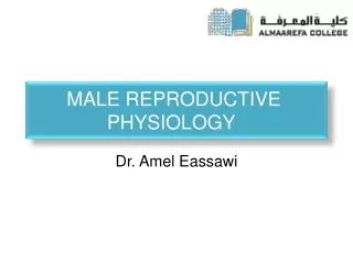 Male R eproductive Physiology