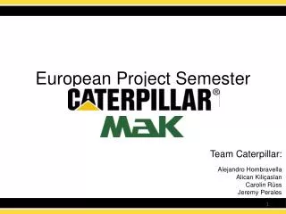 European Project Semester