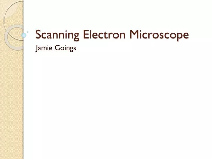 scanning electron microscope