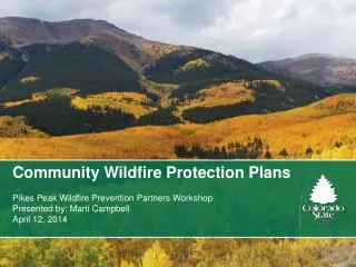 Community Wildfire Protection Plans Pikes Peak Wildfire Prevention Partners Workshop