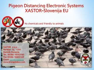 Pigeon Distancing Electronic Systems XASTOR-Slovenija EU