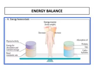 ENERGY BALANCE