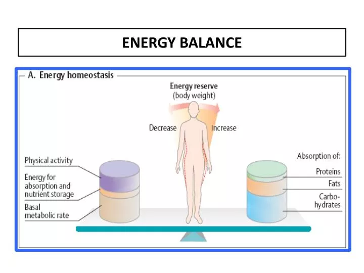 energy balance