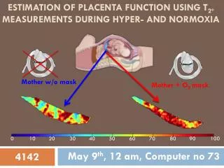 Estimation of placenta function using T 2* measurements during hyper- and normoxia