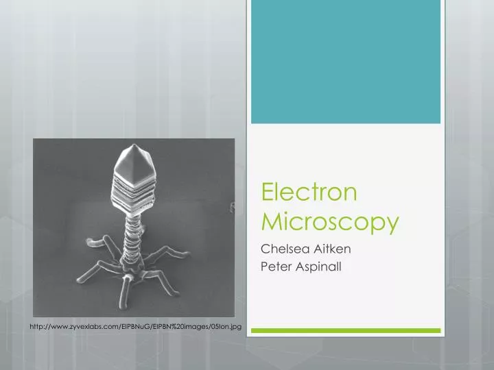 electron microscopy