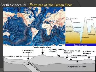 Earth Science 14.2 F eatures of the Ocean Floor