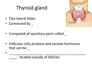 Thyroid gland