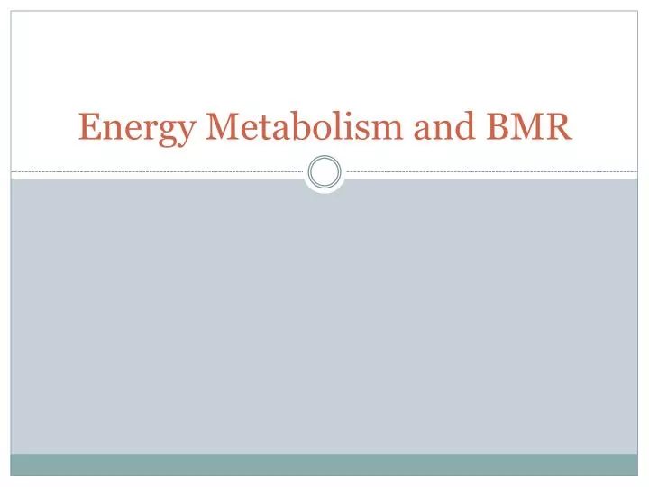 energy metabolism and bmr