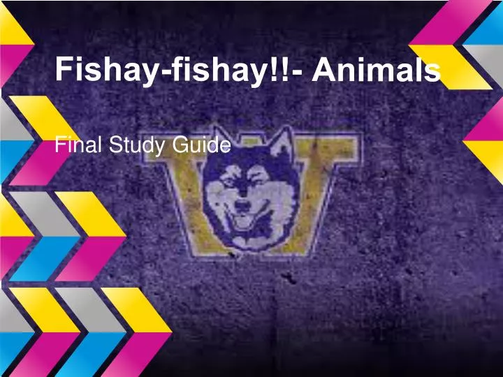 fishay fishay animals