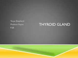 Thyroid Gland