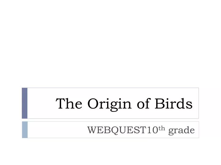 the origin of birds