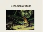 Evolution of Birds - slide 1
