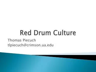 Red Drum Culture
