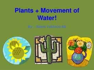 Plants + Movement of Water!
