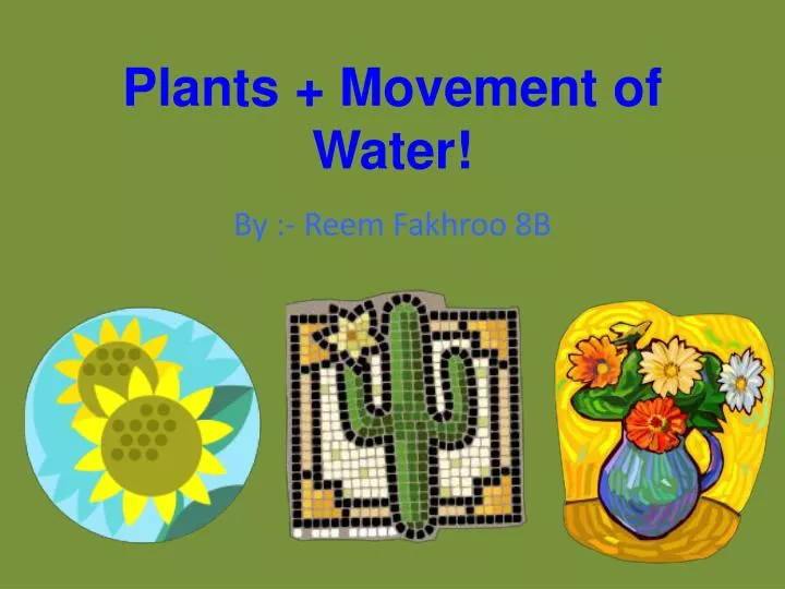 plants movement of water