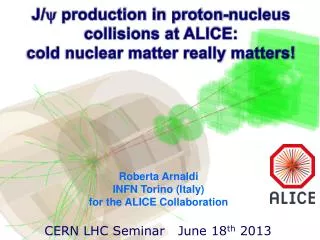 J/  production in proton-nucleus collisions at ALICE: cold nuclear matter really matters!