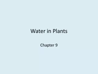 Water in Plants